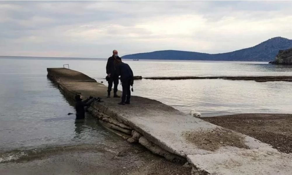 Τολό: Μυστήρια εμφάνιση θαλάσσιου κήτους - Επενέβη το Λιμενικό (βίντεο)